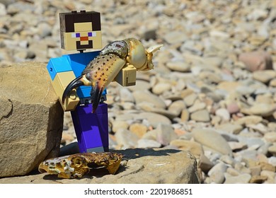 PAG, CROATIA - AUGUST 26, 2022: LEGO Minecraft Large Figure Of Steve Picking Up Crab (Pachygrapsus Family) Claw (also Called Pincer), Head Part Of Crab Exoskeleton Under His Legs.