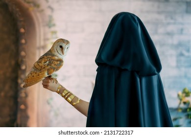 Pagan woman covered head black hood silk cape in gothic room, holds barn owl bird on hand. Portrait silhouette girl witch back rear view. fantasy dress, goth vampire lady in dark long cloak, cape. - Powered by Shutterstock