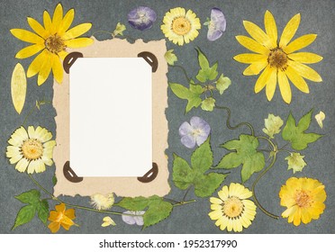 Page from an old photo album. Scrapbooking element decorated with leaves, flowers and petals flowers. For cards, invitations und congratulations. Use in scrapbooking, greetings.