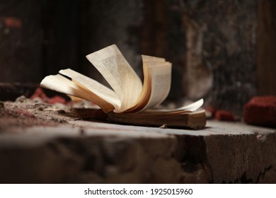 Pages in a book turn. Close to - Powered by Shutterstock