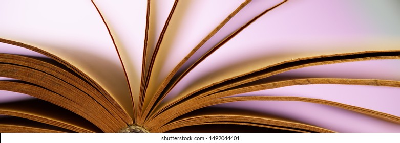 Pages Of An Old Open Book On A Pink Background. Close-up. Web Banner.