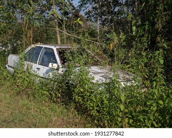 Pahang, Malaysia- Mac 2021 : Abandoned Old Proton Saga Left Srub And Wild Plant