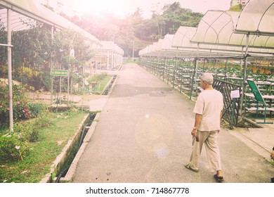 PAHANG,MALAYSIA-MARCH 3 2014:An Old Malay Man Visit MARDI Center Of Plantation Park At Cameron Highland