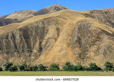 Paicines Wilderness. San Benito County, California, USA.