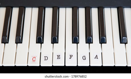 64 Paino Keys Images, Stock Photos & Vectors | Shutterstock