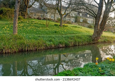 Painswick, Gloucestershire, UK, March 24th, 2022, Daffodils and reflections in the Stream that runs through the village in spring at sunrise.