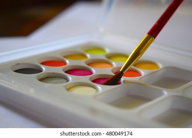 paint with brush