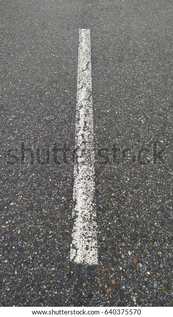 Paint line in the middle\
of the road