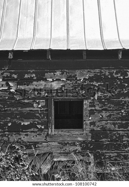 Paint Peeling Barn Black Whitepeeling Back Stock Photo Edit Now