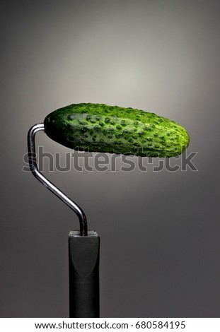 Paint Roller cucumber on gray background. Fashion food concept.