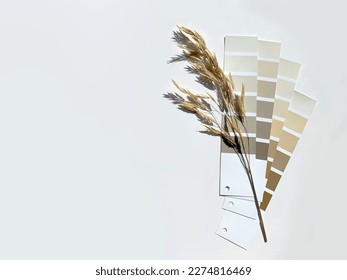 Paint samples for redecorating interior or exterior design. Deciding on colors. Neutral beige and gray color palette. Concept: nature inspires colors - Shutterstock ID 2274816469