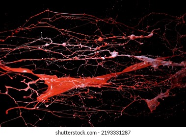 paint splatter on black background