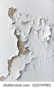 Paint used for painting non-standard house walls causes the wall paint to peel off.
