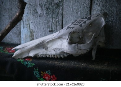 A Painted Animal Skull In An Old House In Central Ukraine