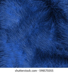 Painted Blue Fur Texture Closeup.Useful For Background