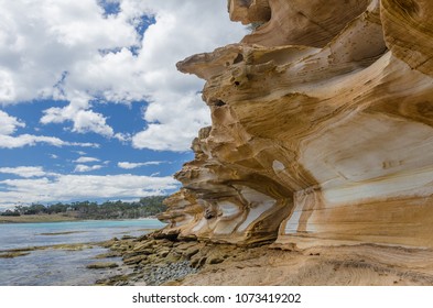 Painted Cliffs At Maria Island Is Remarkable For The Brightly Coloured, Sandstone Cliffs, Which Have Been Stained By Groundwater Percolating Through The Sandstone Eons Ago. Tasmania, Australia. 1