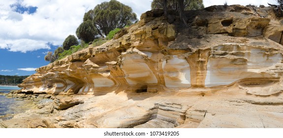 Painted Cliffs At Maria Island Is Remarkable For The Brightly Coloured, Sandstone Cliffs, Which Have Been Stained By Groundwater Percolating Through The Sandstone Eons Ago. Tasmania, Australia. 2