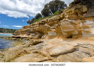 Painted Cliffs At Maria Island Is Remarkable For The Brightly Coloured, Sandstone Cliffs, Which Have Been Stained By Groundwater Percolating Through The Sandstone Eons Ago. Tasmania, Australia. 8