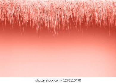 Painted coral color of thatch roof made of grass. Trendy tone. Place for design.
