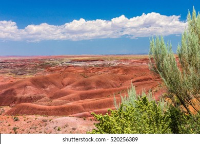 Painted Desert, Arizona