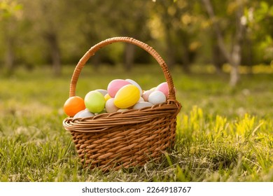 painted Easter eggs in basket on grass. Traditional decoration in sun light