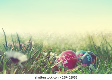 painted easter eggs in the field
