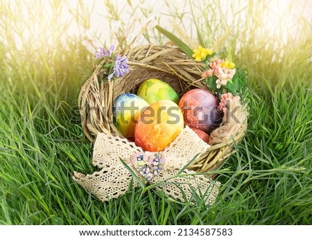 Painted Easter eggs in nest with bow and flowers on grass. Happy Easter concept. Copy space