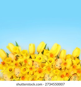 Painted easter eggs springtime flower background decoration blue sky gradient background. Festive colorful floral nature eastertime design.