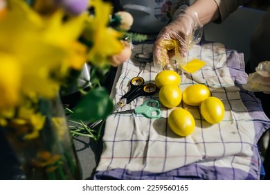Painted with golden paint, Easter eggs dry on a napkin. painting Easter eggs. Part of the series
