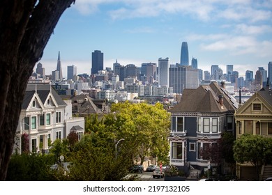 1 539 The Painted Ladies At Alamo Square Images Stock Photos Vectors   Painted Ladies Alamo Square San 260nw 2197132105 