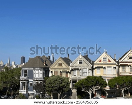 painted ladies in san francisco