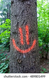 Painted on a tree Smiley