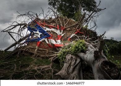 Painted Puerto Rico state flag on uprooted tree from Hurricane Maria in San Juan, Puerto Rico.