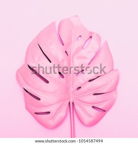 painted tropical palm leaf of monstera. fashion pink concept. minimalism and surrealism