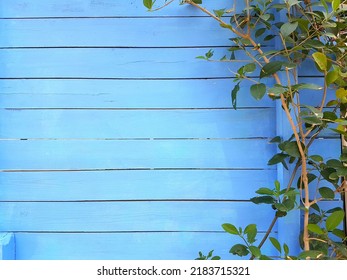 Painted wooden wall, fence blue color - Shutterstock ID 2183715321