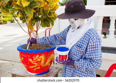 painter