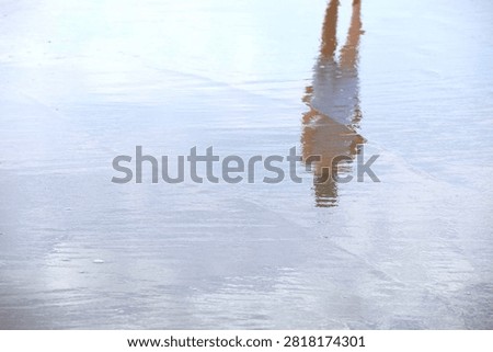 Painterly reflection of a person walking on wet sand as sea water recedes on the beach.