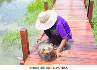 The Painters Are Painting Bridges,One Man Is Painting A Wooden Bridge, 