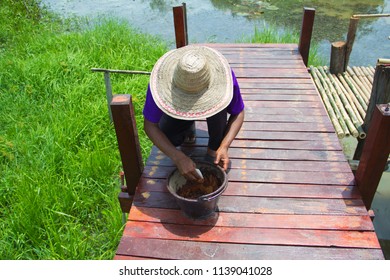 The Painters Are Painting Bridges,One Man Is Painting A Wooden Bridge, 