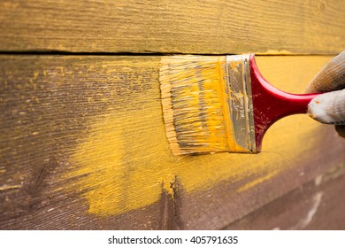 Painting fence yellow paint in the back garden. - Powered by Shutterstock