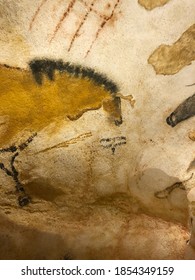 Painting  of an horse in Lascaux cave