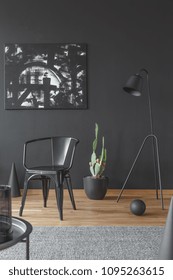 Painting On The Black Wall, Metal Chair And Green Cactus In A Dark, Artistic Space Interior