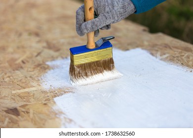 Painting OSB in White color by brush