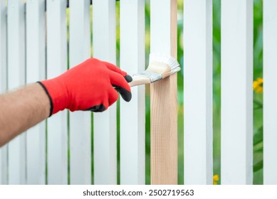 Painting the planks of new wooden fence in the front yard, close up. Male hand with a brush painting the fence, renovation and improving of home plot in the countryside