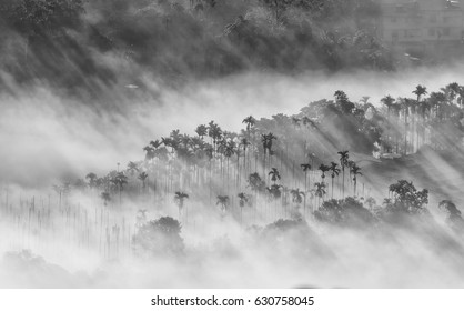 中国风山水画库存照片、图片和摄影作品 Shutterstock