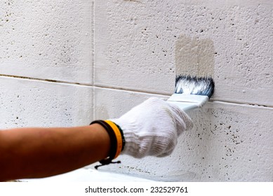 Painting white color on cement wall by paintbrush.