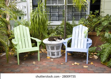 cat garden furniture