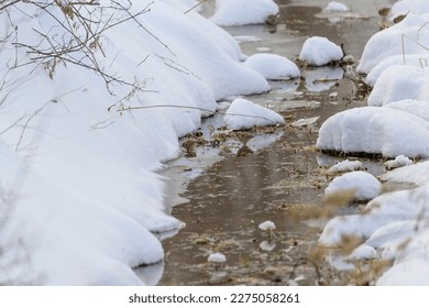 A pair of American Tree Sparrows forage in a stream during the winter, in Sanilac County, Michigan. - Shutterstock ID 2275058261