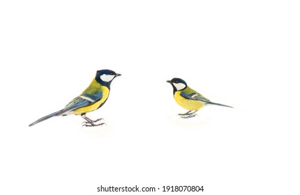 Pair Of Birds: Two Tits, Male And Female (right)