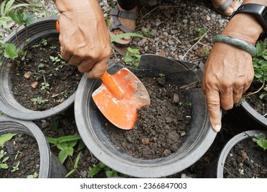 A pair of capable woman's hands skillfully shoveling rich soil with determination and expertise. - Shutterstock ID 2366847003